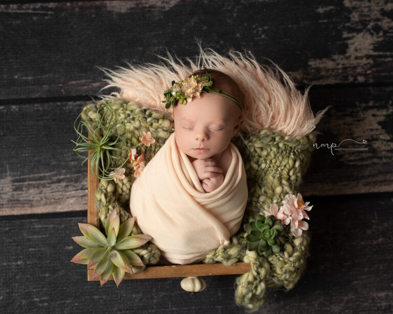 A newborn baby girl swaddled in peach in a wooden prop filled with greens and succulents during her Columbus GA newborn session.